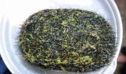 Tìm thấy vật thể lạ có mùi thơm trong bụng lợn ở Hà Tĩnh: Trả hàng chục triệu không bán