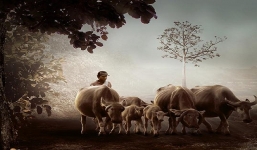 Kỳ lạ ngôi làng 50 năm không có một đứa trẻ nào ra đời