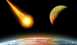 Phát hiện bọ ngoài hành tinh xâm nhập xuống Trái Đất: Mối nguy với loài người?