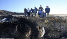 Phát hiện xác thủy quái khổng lồ không đầu trôi dạt vào bờ biển Nga