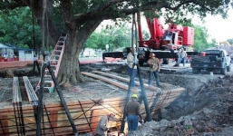 Tận mắt xem 'thần đèn' nước ngoài di chuyển cây sồi cổ thụ 150 tuổi