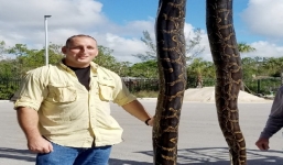 Hãi hùng trăn khổng lồ trúng đạn vào đầu vẫn hung hăng quần thảo với thợ săn