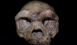 Hộp sọ tìm thấy ở Trung Quốc có thể viết lại lịch sử loài người