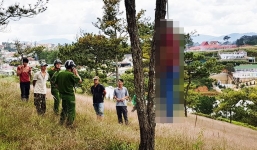 Phát hiện người đàn ông tử vong trong tư thế treo cổ trên đồi thông