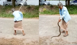 Thấy rắn ăn thịt cóc, bà cụ làm điều khiến dân mạng sửng sốt