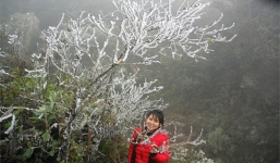 Thông tin huyện Mộc Châu xuất hiện băng giá là không chính xác