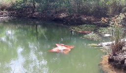 Hai bà cháu chết đuối thương tâm dưới ao sau nhà