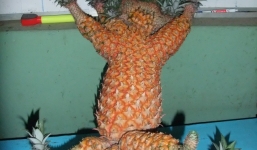 Những hình ảnh khiến bạn cảm thấy hoang mang như lạc vào hành tinh khác