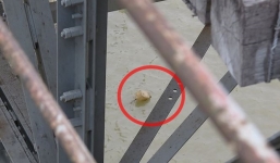 Tiếp tục tìm phương án trục vớt bom gần trụ cầu Long Biên