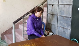 Khởi tố, bắt giam chủ trường Mầm Xanh hành hạ trẻ em