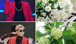 Từ hôm nay, hãy gọi tôi là người căm thù mùi hoa sữa!