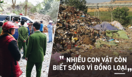 'Sự tàn nhẫn ấy không thể xóa đi thứ tình cảm đẹp nhất trên đời: Tình bà cháu'