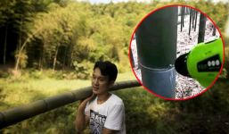 Đổ cả ngàn lít rượu vào thân cây tre, thanh niên trẻ thu về lãi lớn