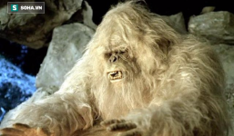 Bí ẩn người tuyết Yeti cuối cùng đã được các nhà khoa học bật mí?