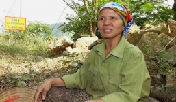 Vụ bé 20 ngày tuổi bị sát hại ở Thanh Hóa: Linh cảm của người phụ nữ ve chai