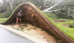 Những bằng chứng cho thấy thiên nhiên có sức mạnh thật đáng kinh ngạc