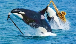 5 sự thật sẽ khiến bạn thốt lên rằng thế giới này có quá nhiều điều kỳ diệu