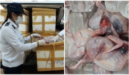 Thu giữ 600 kg thịt chim cút bốc mùi thối rữa được mang ra Hà Nội tiêu thụ