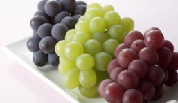 Hóa ra những trái cây chúng ta ăn thường ngày lại ẩn chứa nhiều điều thú vị