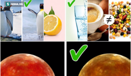 Những quan niệm sai lầm trong cuộc sống cần sửa ngay còn kịp