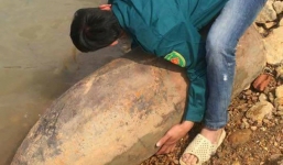 Sau sông Hồng, lại phát hiện quả bom dài 1,2m ở sông Lô