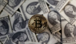 Lỡ tay vứt ổ cứng chứa hơn 7.000 bitcoin, một kỹ sư người Anh quyết xới tung bãi rác để tìm lại