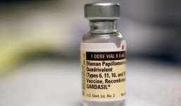 Tại sao người Nhật hoảng sợ vắc-xin HPV, tỷ lệ tiêm phòng giảm từ 70\% xuống gần 0\%?