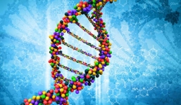 Sinh ra con nhưng vẫn không phải cha ruột - hiện tượng kỳ lạ chứng minh 'trên đời chuyện quái gì cũng có thể xảy ra'