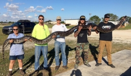 Bắn bể đầu trăn 'khủng' 5m ở Nam Florida