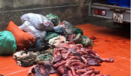 Bắt giữ gần 650kg thịt, nội tạng trâu bò bốc mùi hôi thối