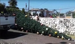 Thảm kịch mùa Giáng sinh: 5 người chết vì bị điện giật trong khi trang trí cây thông Noel ở công viên