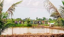 Xin tha không được, tên trộm ra tay đánh chết chủ đầm tôm