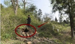 Phát hiện cái hang gần ngôi mộ, khi đào sâu vào trong người đàn ông ngay lập tức báo cảnh sát