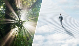 Nhà khoa học kể về trải nghiệm cận tử sau khi thoát chết