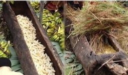 Bóc vỏ 500 quả chuối cho vào thân gỗ rỗng rồi đắp cỏ khô lên, cả thế giới bất ngờ đổ xô về thử