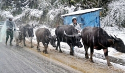 Miền Bắc chuẩn bị đón không khí lạnh rất mạnh, có thể rét đậm, rét hại diện rộng