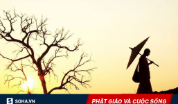 Xông vào đám đông tìm sư phụ, vị hòa thượng khiến hoàng đế nhà Thanh thốt lên kinh ngạc