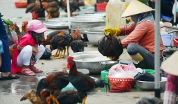 Giật mình với kết quả 100\% thực phẩm sống ở chợ nhiễm khuẩn Ecoli