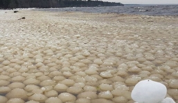 Kỳ lạ hiện tượng hàng trăm nghìn quả cầu băng bí ẩn xuất hiện bên bờ biển