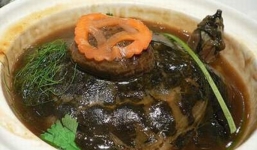 Súp rùa sống: Món ăn kinh dị và tàn nhẫn 'nức tiếng' Trung Quốc
