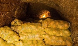 Ngồi nghỉ ở hầm khoai tây, lão nông phát hiện ra cả kho báu mà bấy lâu nay không biết