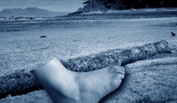 Lại tìm thấy chân người trôi dạt vào bờ biển Columbia, và bí ẩn thập kỷ nay đã có lời giải