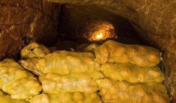 Ngồi nghỉ ở hầm khoai tây, lão nông phát hiện ra cả kho báu mà bấy lâu nay không biết