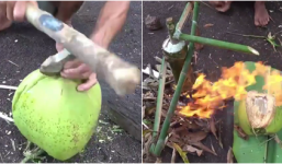 Mang trái dừa ra vườn, người đàn ông có ngay món rượu theo phong cách nguyên thủy