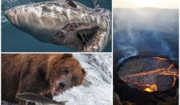 21 bức ảnh khoa học ấn tượng nhất năm 2017, tấm 12 khiến nhiều người kinh ngạc trước vẻ đẹp thiên nhiên