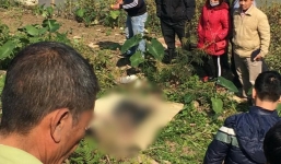 Đi đánh cá bàng hoàng phát hiện xác người đàn ông trôi giữa sông