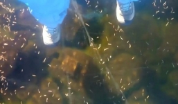 Hồ nước đóng băng ở Siberia phát ra âm thanh đáng sợ, tựa như 'ngoài hành tinh'