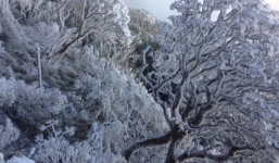 Hot: Đỉnh Fansipan trắng xóa băng tuyết sau đêm nhiệt độ xuống -7 độ C