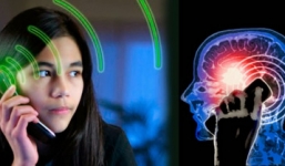 Cảnh báo: Sóng bức xạ của điện thoại làm gia tăng bệnh ung thư ở người