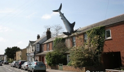 Phía sau hình ảnh cá mập cắm đầu xuống nóc nhà thu hút cư dân mạng